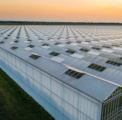 Transforme sua experiência agrícola com o sistema de hidroponia de tomate, pepino e morango