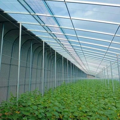 Transforme sua experiência agrícola com o sistema de hidroponia de tomate, pepino e morango