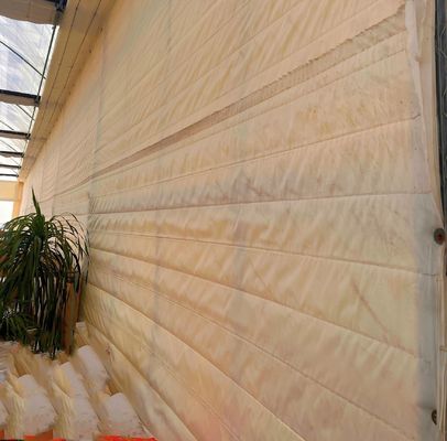 Transforme sua experiência agrícola com o sistema de hidroponia de tomate, pepino e morango
