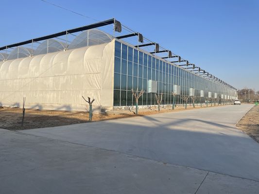 Estufas de vidro Venlo com sistema de hidroponia Cocopeat e personalização
