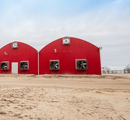 Estufas de cogumelos para produção e cultivo em larga escala