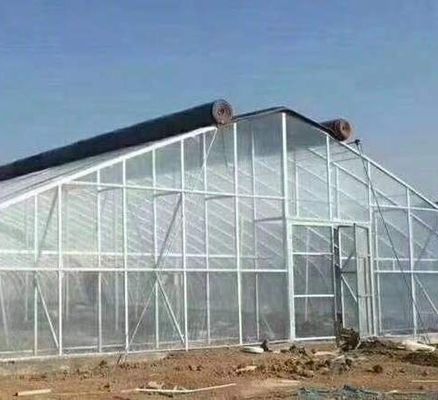 Estufas de cogumelos para produção e cultivo em larga escala