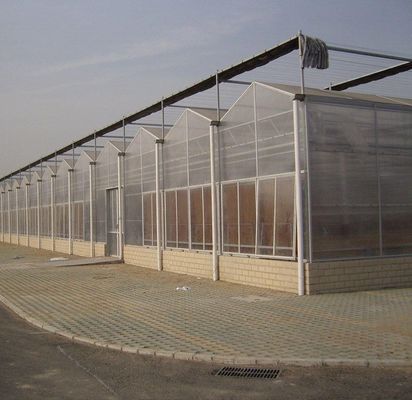 20GP 40GP 40HC Span Multi PE Film Plastic Agricultura Kit de Estufas para Multi-Span
