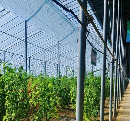 20GP 40GP 40HC Span Multi PE Film Plastic Agricultura Kit de Estufas para Multi-Span