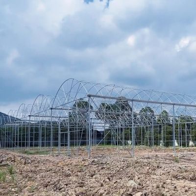 Sistema de cultivo hidropónico de tubos de água de vários intervalos para eficiência da aquicultura em estufa