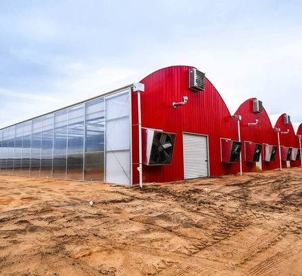 Sistema de cultivo hidropónico de tubos de água de vários intervalos para eficiência da aquicultura em estufa