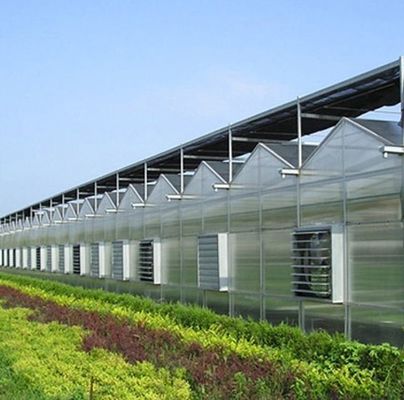 Grande Aquicultura Tomate Pepino Morango Hidroponia Estufas com alto rendimento
