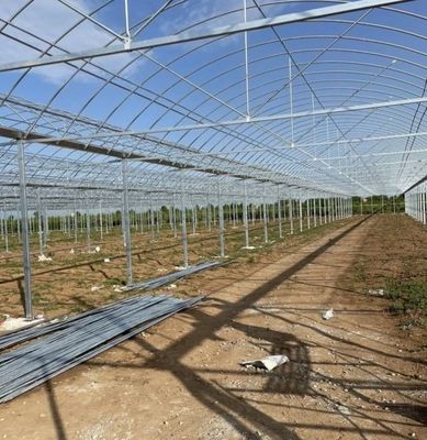 Grande Aquicultura Tomate Pepino Morango Hidroponia Estufas com alto rendimento