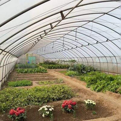Estufa de túnel para vegetais e tomates Pacote Tamanho 50,00cm * 60,00cm * 50,00cm