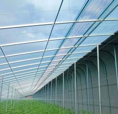 Origem Eco Greenhouse for Tomato/Capsicum/Cucumber Estrutura de aço e custo de envio