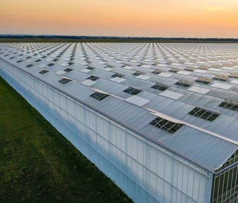 Origem Eco Greenhouse for Tomato/Capsicum/Cucumber Estrutura de aço e custo de envio