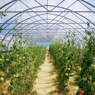 Origem chinesa Arcos de uma única faixa Estufas Moeda dos EUA para aplicações comerciais