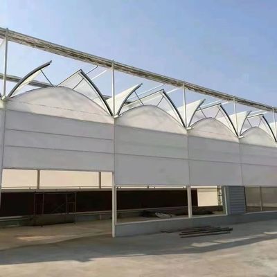Estufas comerciais de tomate/framboesa/alface com cobertura de filme de plástico