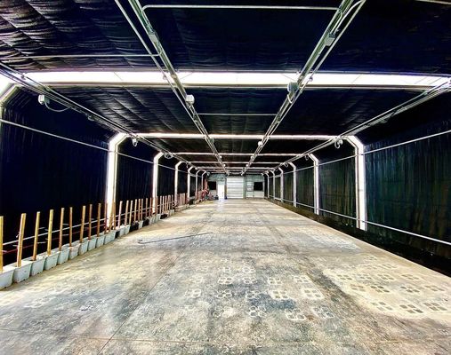 Estufa comercial de várias faixas com vista floral final e terraço de vidro listrado