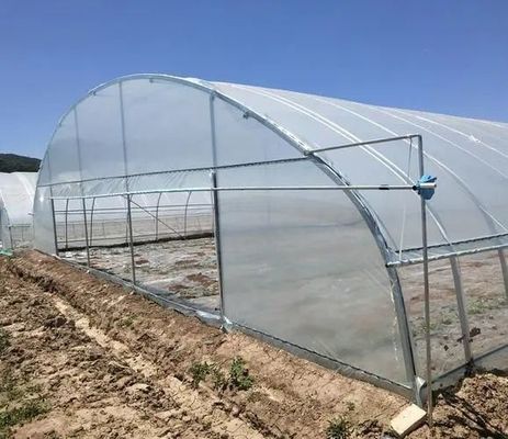 Estufa comercial de várias faixas com vista floral final e terraço de vidro listrado