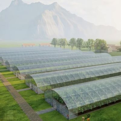 Estufas para tomates e morangos no túnel de tubulação de água
