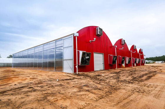 Aquicultura Estrutura de aço Estufas solares com cobertores e materiais