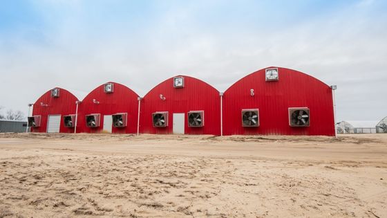 Aquicultura Estrutura de aço Estufas solares com cobertores e materiais