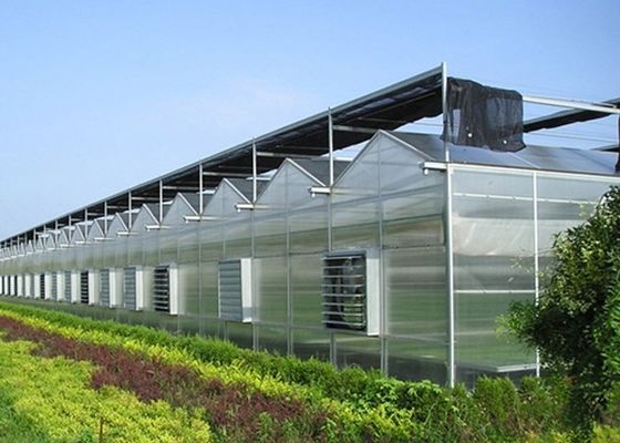 H Secção Construção de Estufas de Aço Personalizadas para as Necessidades do Mercado dos EUA