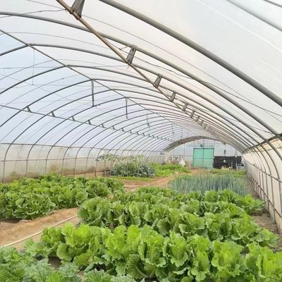Reembolsos de devolução convenientes para o nosso Kit Inovador de Estufas de Túnel de Irrigação por Gotejamento