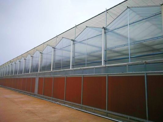 Estufas de plástico de película de PE para a agricultura