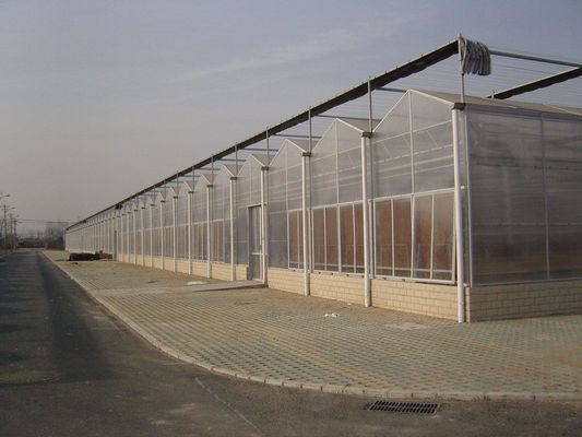 Roofing Shape Arched Roof Eco Greenhouse for Vegetables/Grow Saplings aquecimento de água quente