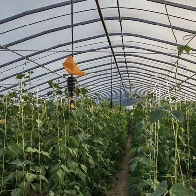 A agricultura em todas as estações é mais fácil com o kit de estufas e a cobertura de filme