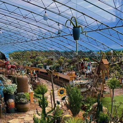 Estufas hidropónicas de origem chinesa em grande escala para o melhor cultivo de culturas