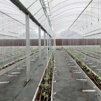 Estufas com hidroponia e amostras de filme plástico US 20/m2