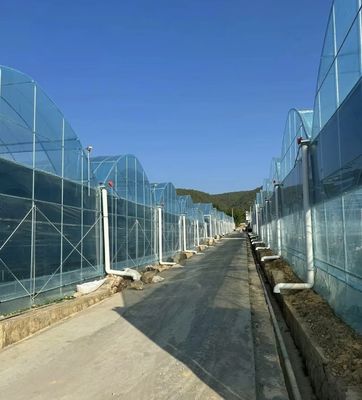 Moeda dos EUA JX-A0023 Estufa de película multi-span para plantação de alface de pepino Tomota