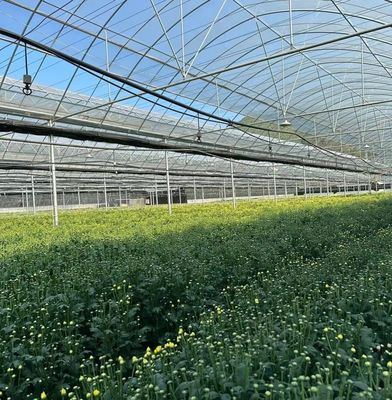 Frigorífico de película multi-espans para agricultura vertical Pacote Tamanho 50,00cm * 60,00cm * 50,00cm