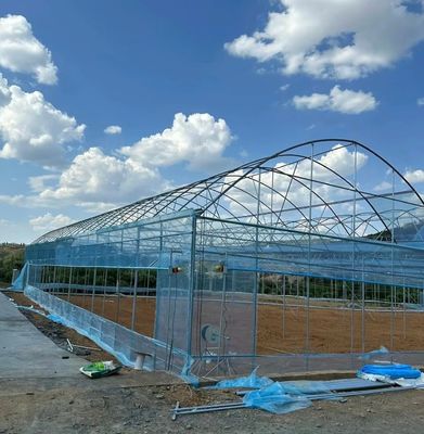 Frigorífico de película multi-espans para agricultura vertical Pacote Tamanho 50,00cm * 60,00cm * 50,00cm