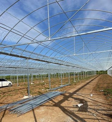 Frigorífico de película multi-espans para agricultura vertical Pacote Tamanho 50,00cm * 60,00cm * 50,00cm