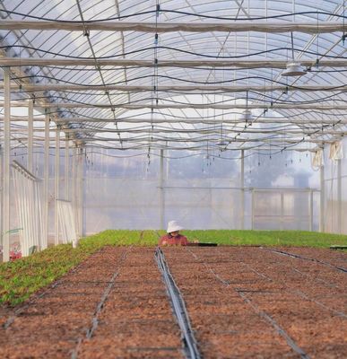 Estufas de filtro de extensão múltipla com arrefecimento/sombração/irrigação