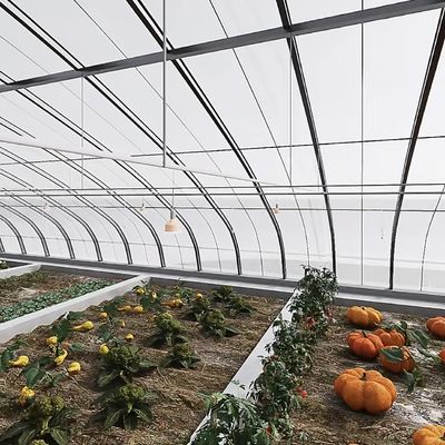 Sistema de cultivo hidropónico em estufa de túnel de arco de vários espaços