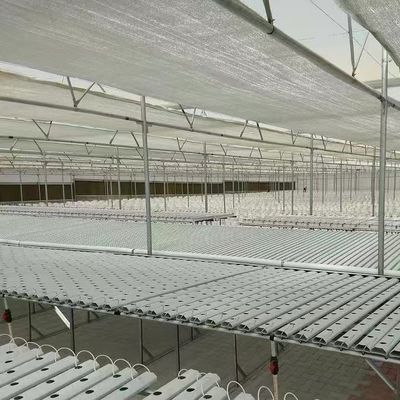 Sistema de cultivo hidropónico de vegetais em estufa multi-espans para estrutura de aço 20.000kg