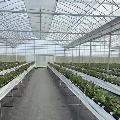 Sistema de cultivo hidropónico de vegetais em estufa multi-espans para estrutura de aço 20.000kg