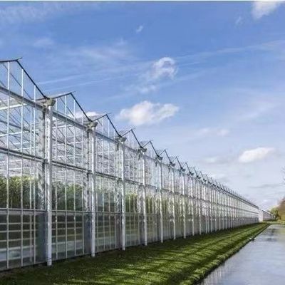 Estufas de luz solar para plantação de capsicum Método avançado de cultivo de vegetais