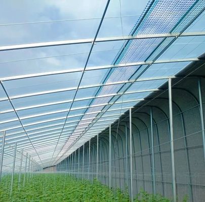 Pedido personalizado Origem Estufas de arco duplo para vegetais 20GP/40GP/40HC