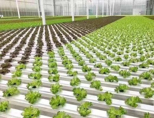Infraestrutura de produção de vegetais