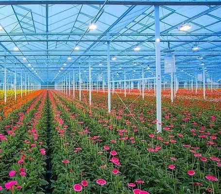 Infraestrutura de produção de vegetais