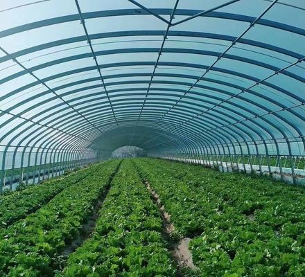 Infraestrutura de produção de vegetais
