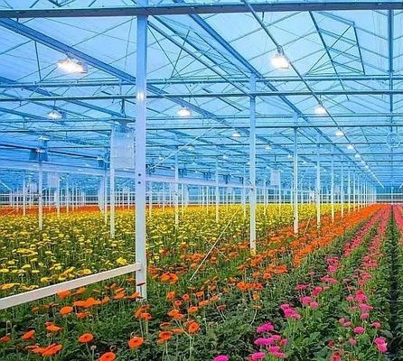 Pagamento inicial Vibrator de neve Estufas para agricultura Método de aquecimento não aquecido