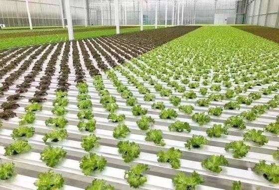 Pagamento inicial Vibrator de neve Estufas para agricultura Método de aquecimento não aquecido