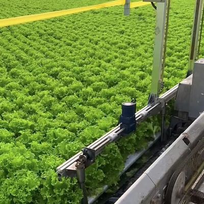 Agricultura Sistema de cultivo vertical de estufas de plástico em estufa