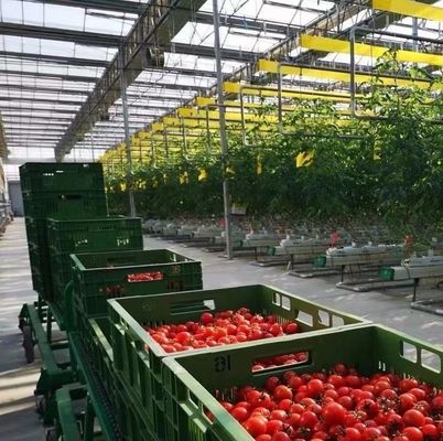 Estufas de aço inoxidável para o cultivo de cogumelos