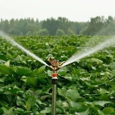 Estufas de aço inoxidável para o cultivo de cogumelos