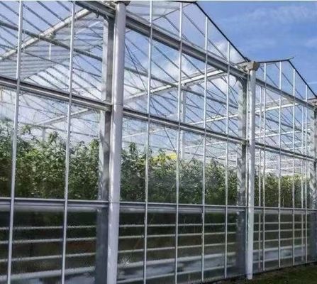 Estufas de aço inoxidável para o cultivo de cogumelos