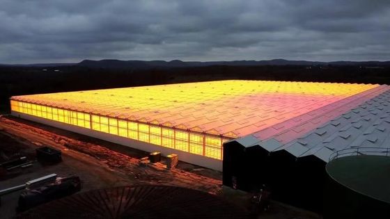 Arco de telhado Cultivo de cogumelos Luz solar Pacote de estufa Peso bruto 1000.000kg