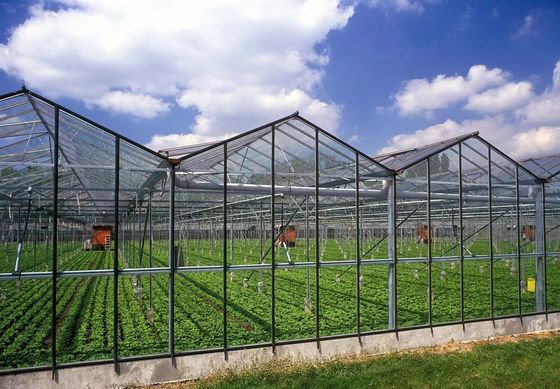 Arco de telhado Cultivo de cogumelos Luz solar Pacote de estufa Peso bruto 1000.000kg